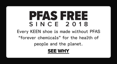 What Is PFAS Free?