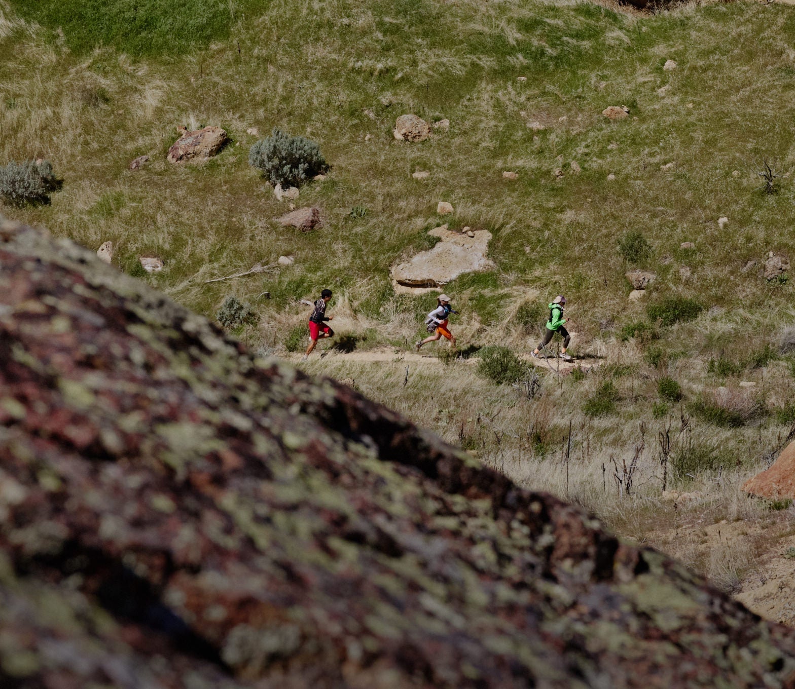 MEN'S SEEK TRAIL RUNNING SHOE - WILLOWHERB/ORANGE PEEL