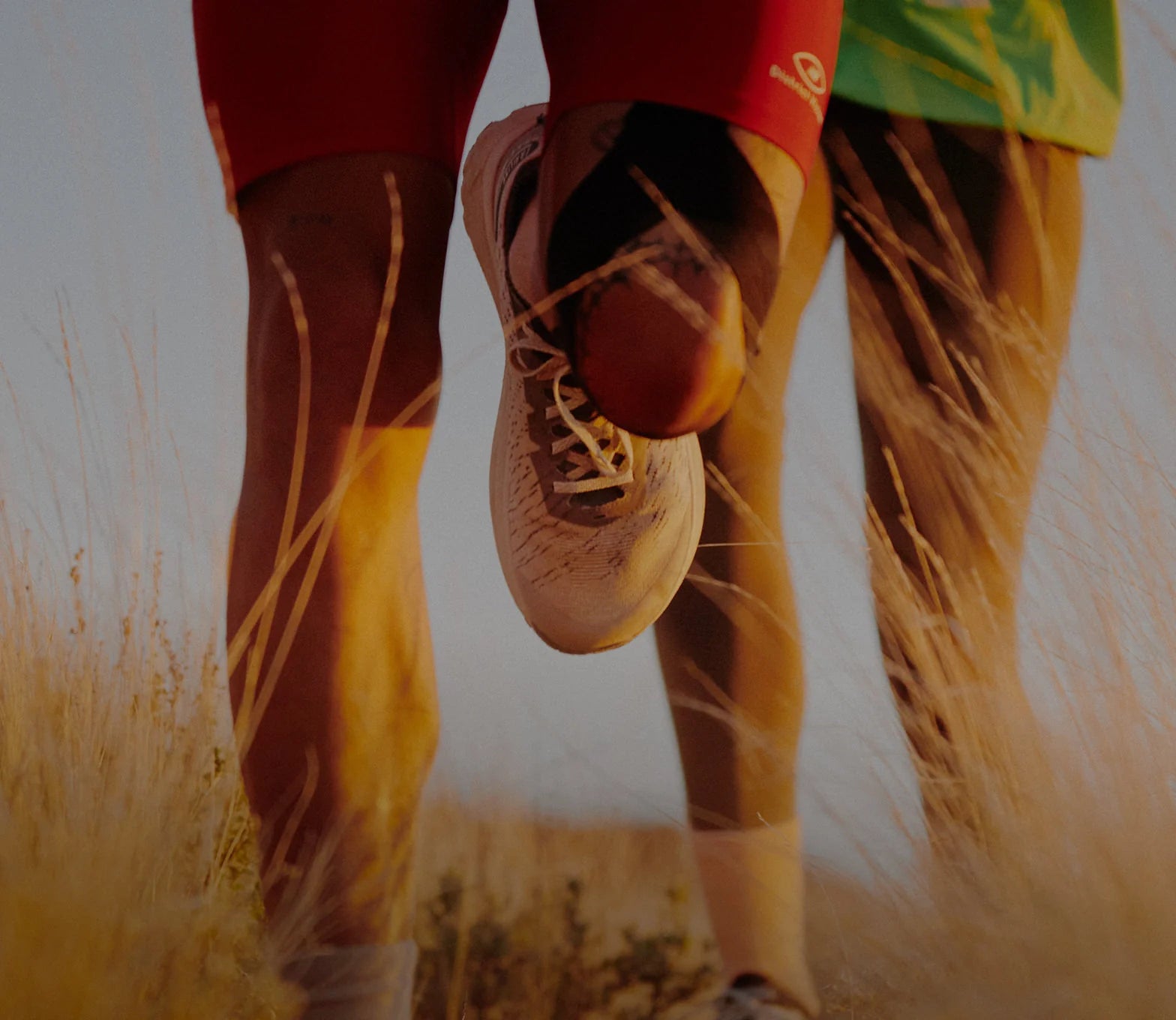 MEN'S SEEK TRAIL RUNNING SHOE - WILLOWHERB/ORANGE PEEL